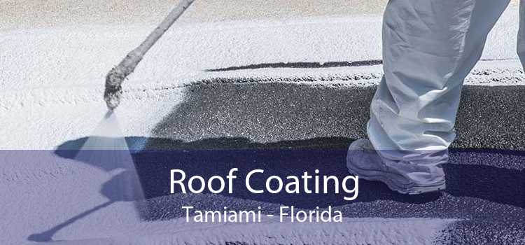 Roof Coating Tamiami - Florida