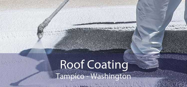 Roof Coating Tampico - Washington