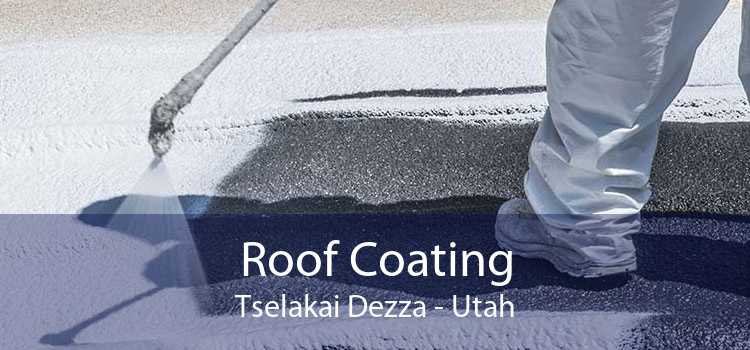 Roof Coating Tselakai Dezza - Utah