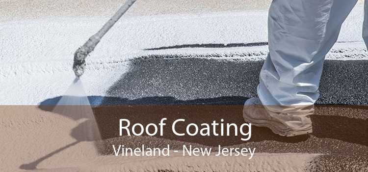 Roof Coating Vineland - New Jersey
