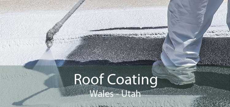Roof Coating Wales - Utah
