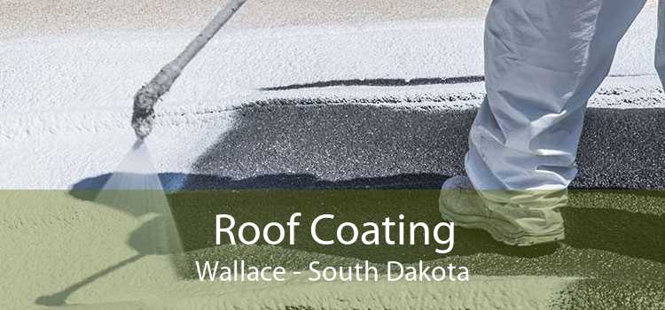 Roof Coating Wallace - South Dakota