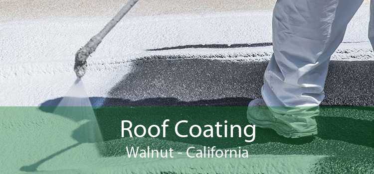 Roof Coating Walnut - California
