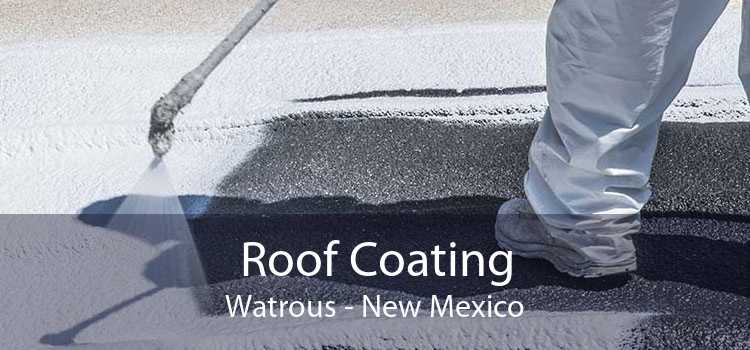 Roof Coating Watrous - New Mexico