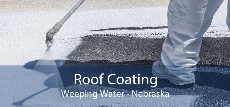 Roof Coating Weeping Water - Nebraska