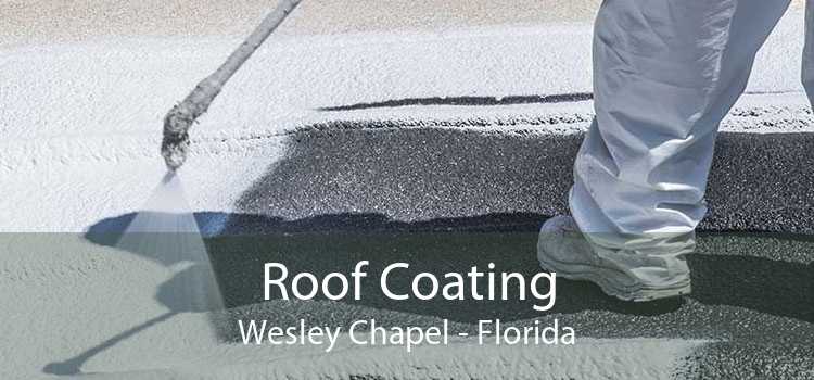 Roof Coating Wesley Chapel - Florida