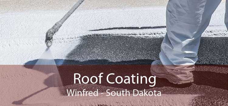 Roof Coating Winfred - South Dakota
