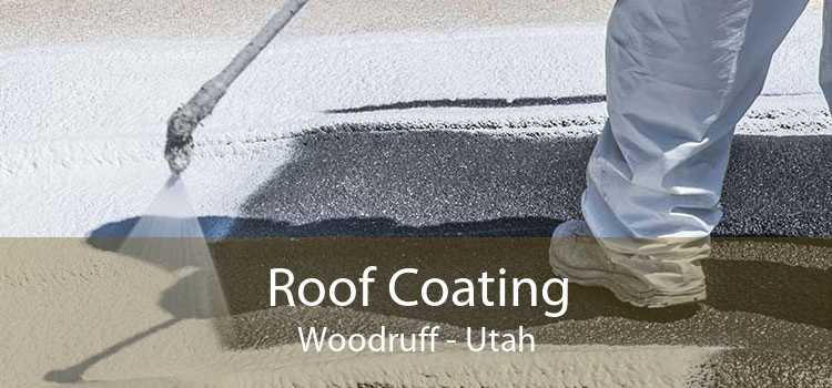 Roof Coating Woodruff - Utah