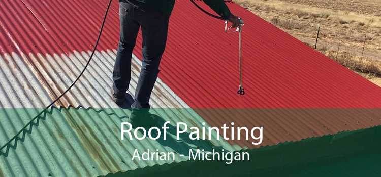 Roof Painting Adrian - Michigan