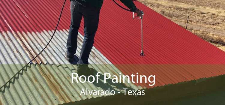 Roof Painting Alvarado - Texas