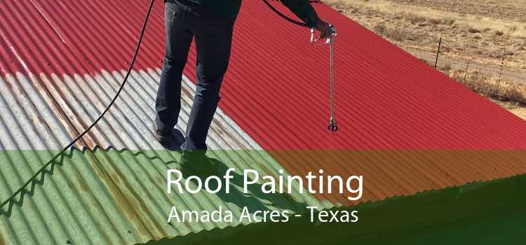 Roof Painting Amada Acres - Texas
