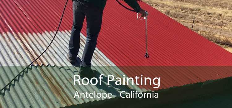 Roof Painting Antelope - California