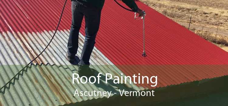 Roof Painting Ascutney - Vermont