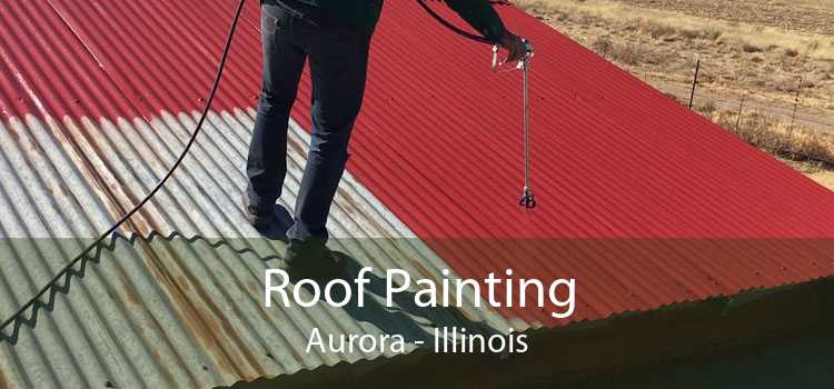 Roof Painting Aurora - Illinois