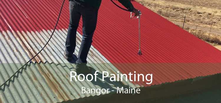 Roof Painting Bangor - Maine