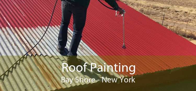 Roof Painting Bay Shore - New York