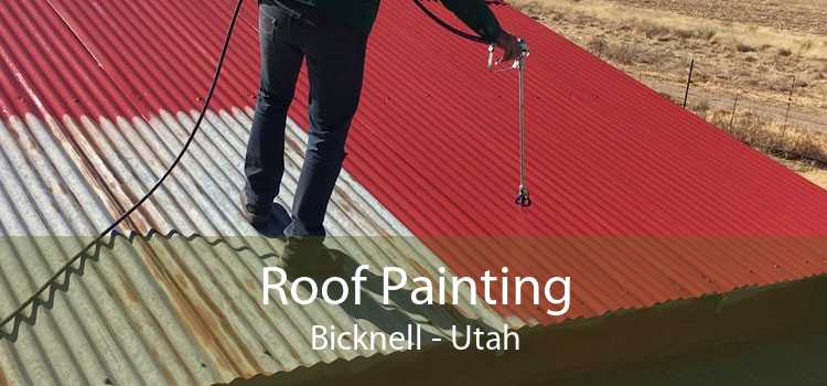 Roof Painting Bicknell - Utah