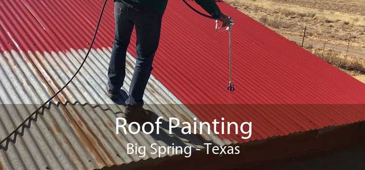 Roof Painting Big Spring - Texas