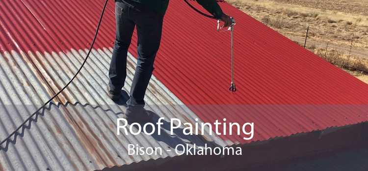 Roof Painting Bison - Oklahoma