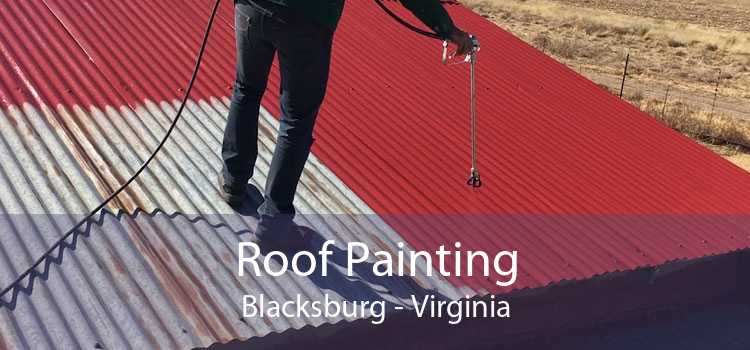 Roof Painting Blacksburg - Virginia