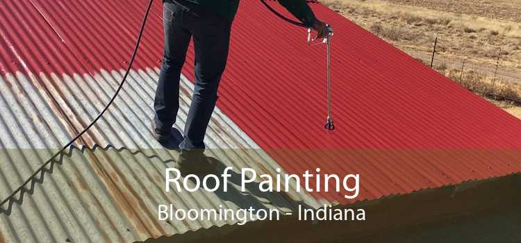 Roof Painting Bloomington - Indiana