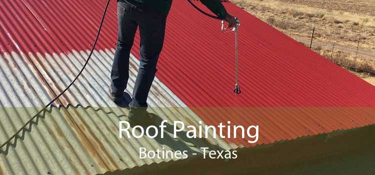 Roof Painting Botines - Texas