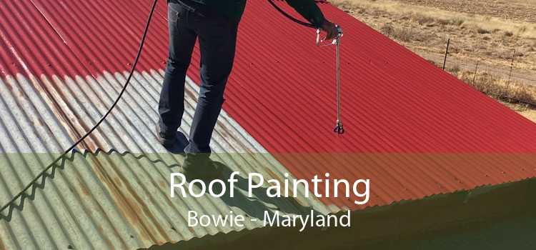 Roof Painting Bowie - Maryland