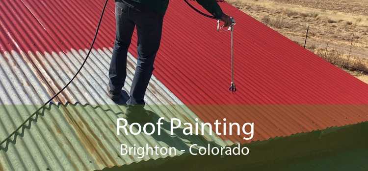 Roof Painting Brighton - Colorado
