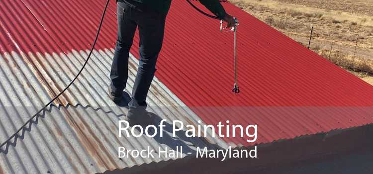 Roof Painting Brock Hall - Maryland