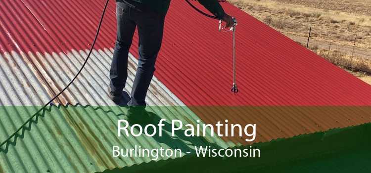 Roof Painting Burlington - Wisconsin