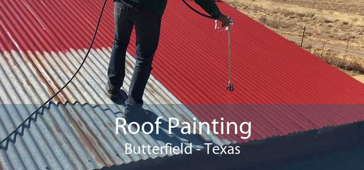 Roof Painting Butterfield - Texas