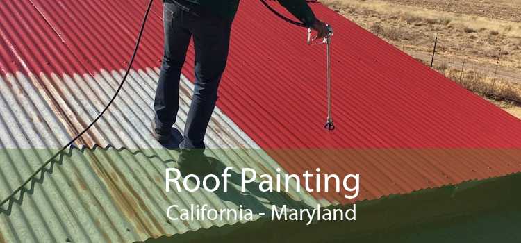 Roof Painting California - Maryland