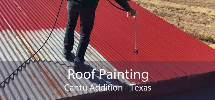 Roof Painting Cantu Addition - Texas