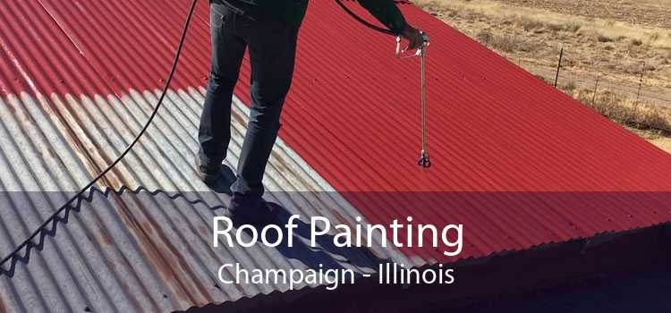 Roof Painting Champaign - Illinois