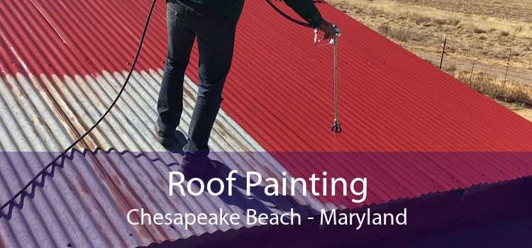 Roof Painting Chesapeake Beach - Maryland