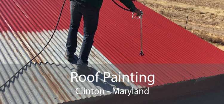Roof Painting Clinton - Maryland