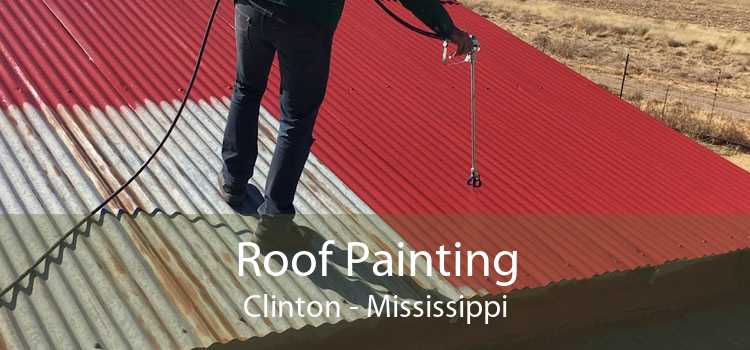 Roof Painting Clinton - Mississippi
