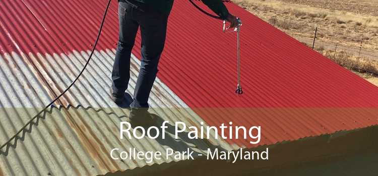Roof Painting College Park - Maryland