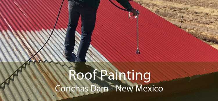 Roof Painting Conchas Dam - New Mexico
