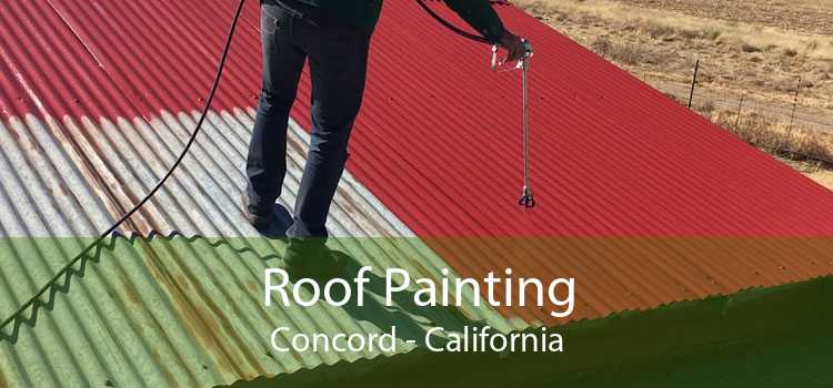 Roof Painting Concord - California