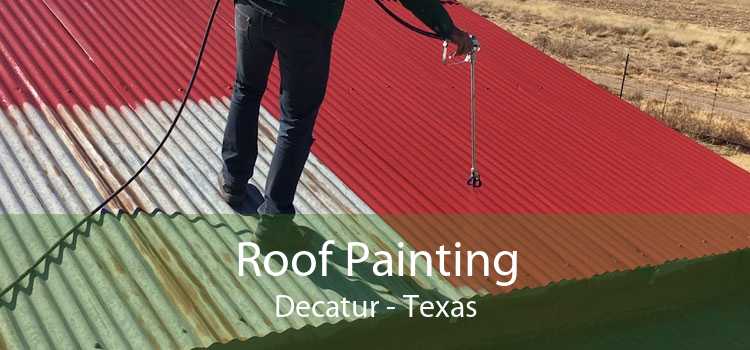 Roof Painting Decatur - Texas