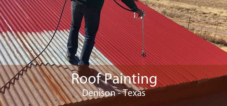 Roof Painting Denison - Texas