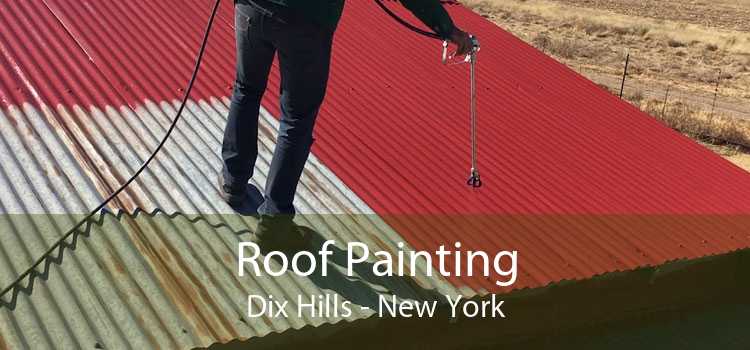 Roof Painting Dix Hills - New York