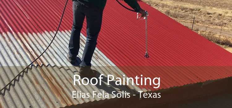 Roof Painting Elias Fela Solis - Texas