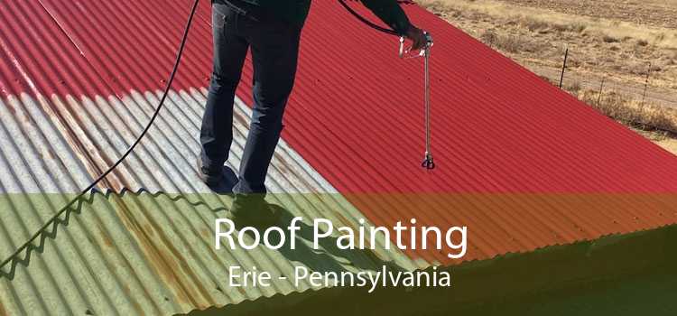 Roof Painting Erie - Pennsylvania