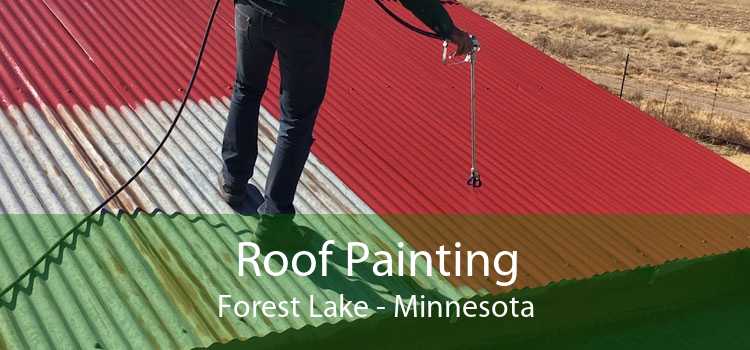 Roof Painting Forest Lake - Minnesota