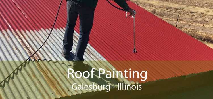 Roof Painting Galesburg - Illinois