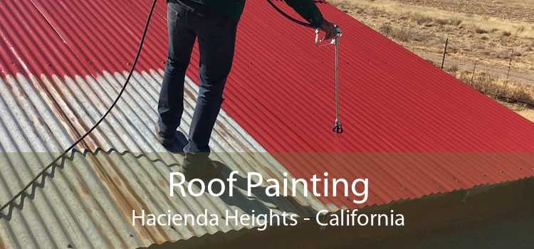 Roof Painting Hacienda Heights - California