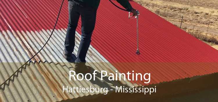 Roof Painting Hattiesburg - Mississippi