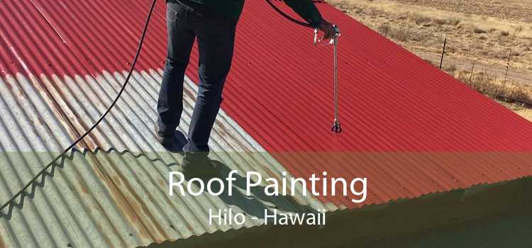 Roof Painting Hilo - Hawaii